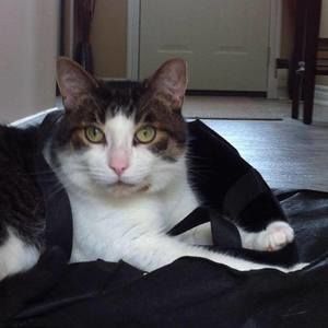 Meet your Posher, Linda